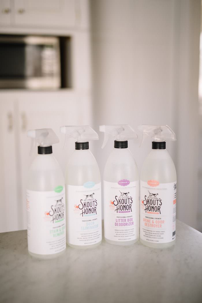 How to Keep the House Somewhat Clean with Pets