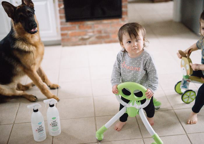 How to Keep the House Somewhat Clean with Pets